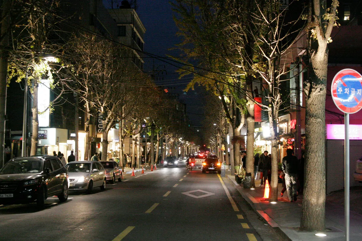 คาโรซูกิลในย่านชินซาดงยามค่ำคืน ถนนที่เรียงรายด้วยต้นแปะก๊วยและหน้าร้านที่เปิดไฟ