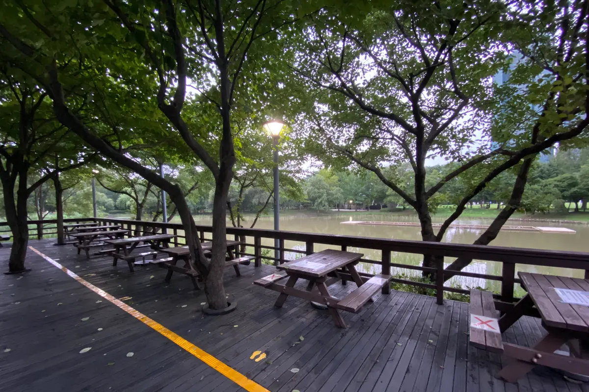 Wooden boardwalk with picnic tables under trees beside a pond in Seoul Forest park